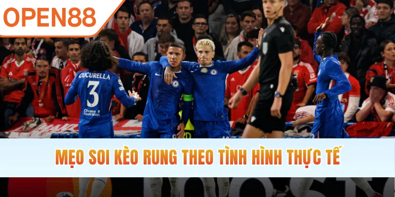 Mẹo soi kèo rung theo tình hình thực tế